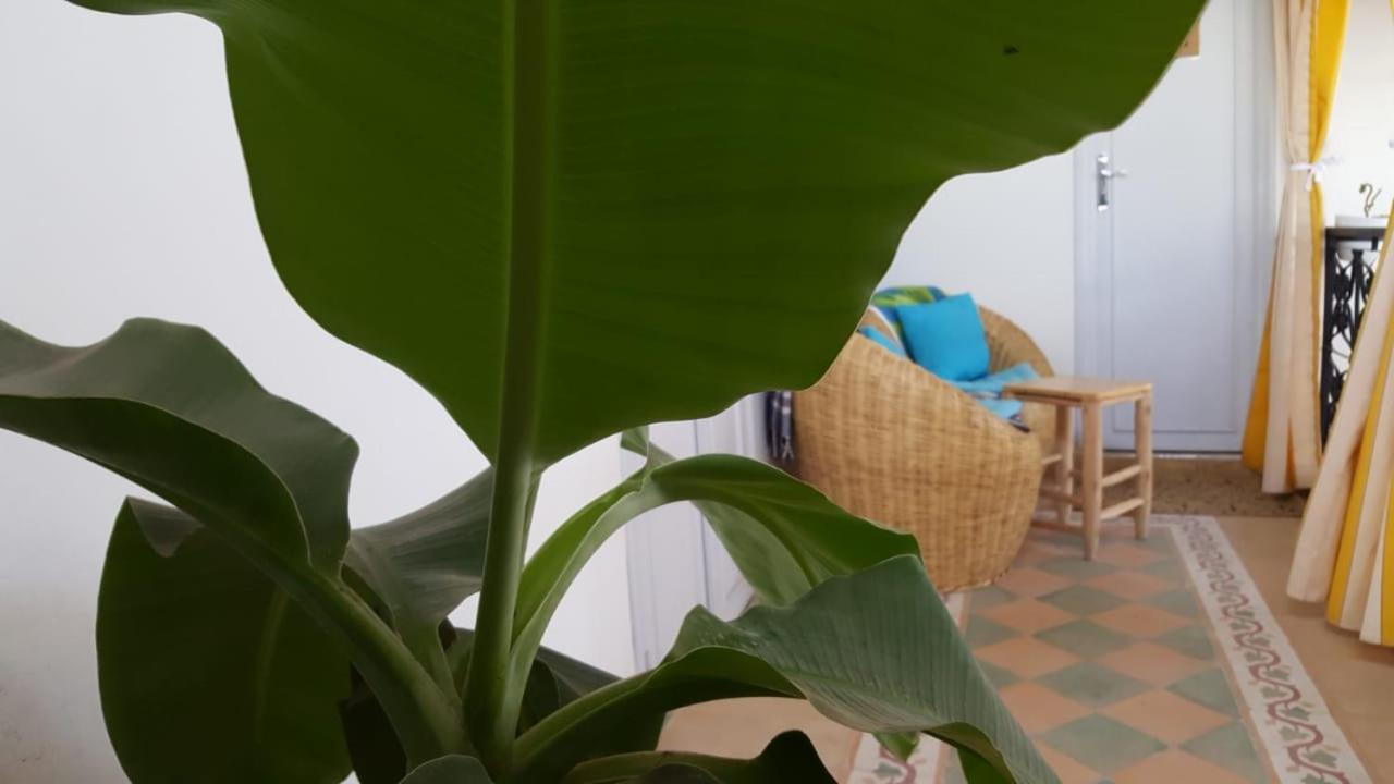 Riad Medina Марракеш Экстерьер фото